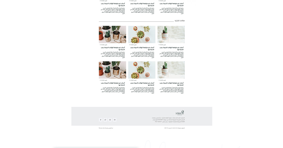 Lafeminite E-commerce Website 11 Lafeminite E-commerce Website by Recipe Codes – image 11 of 13