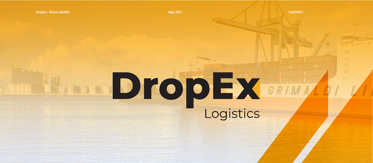 DropEx Brand Identity 1 DropEx Brand Identity by Recipe Codes – image 1 of 9